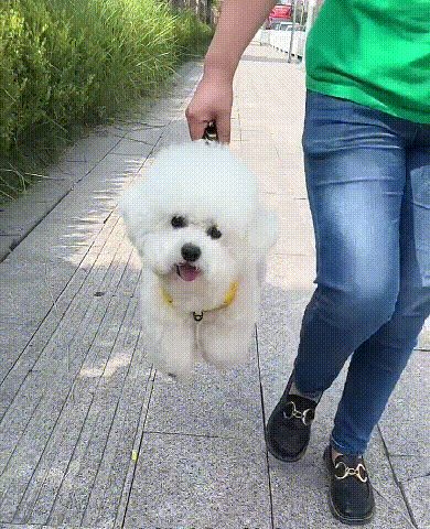 1727959668393337.gif